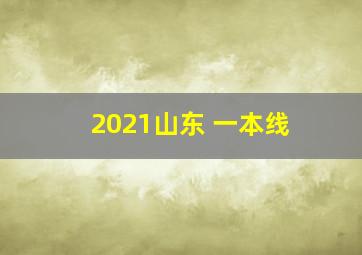 2021山东 一本线